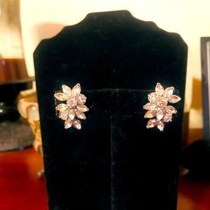 Instant Glamour Cluster Earrings